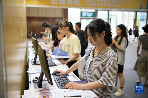 成都“百日萬企”促青年就業 軟件開發行業迎來新機遇